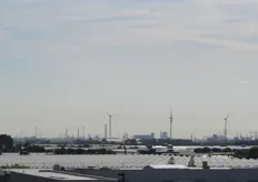 Blik op Rotterdamse haven